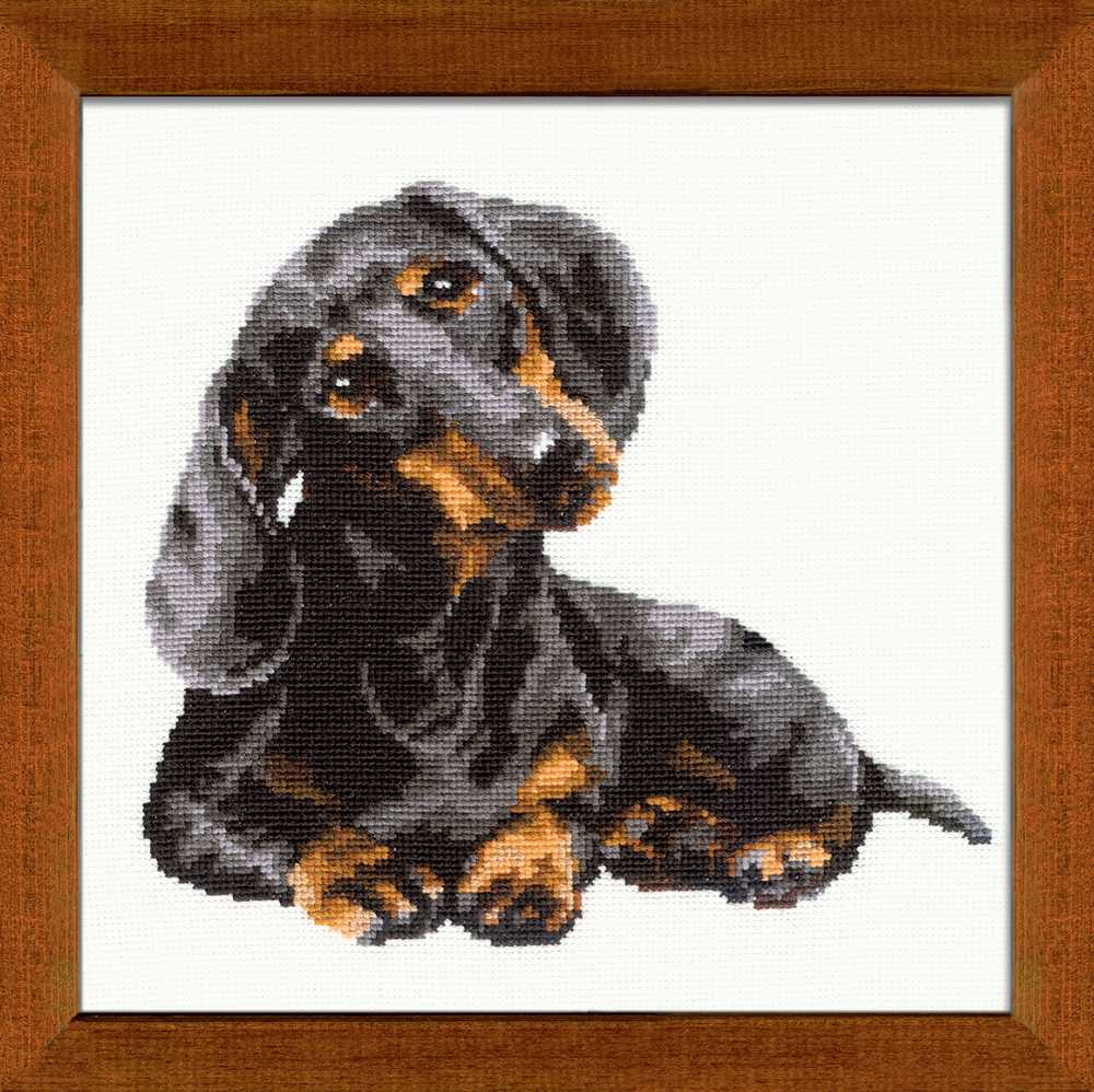 Riolis Cross Stitch Kit - Dachshund