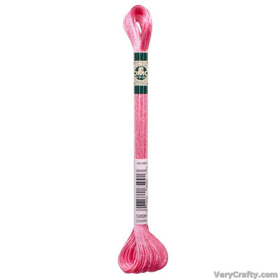 DMC S899 Satin Thread