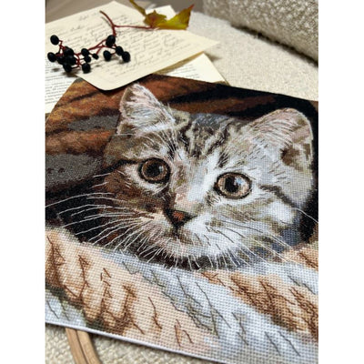 Whiskered Spy Cross Stitch Kit - Andriana