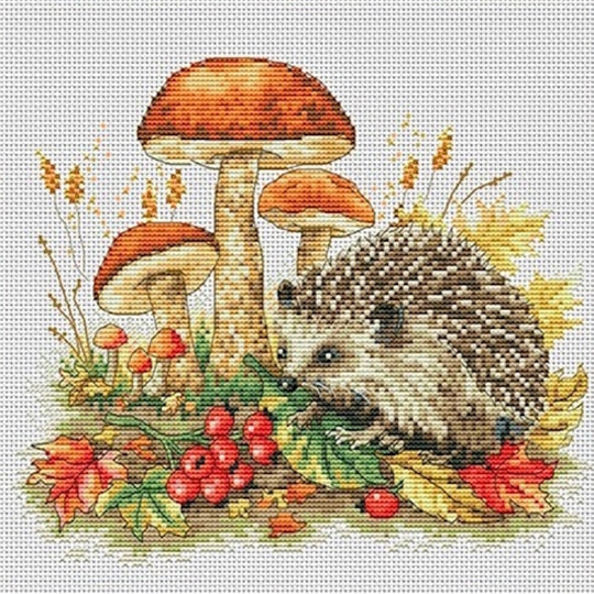 Hedgehog Cross Stitch Kit ~ VDV