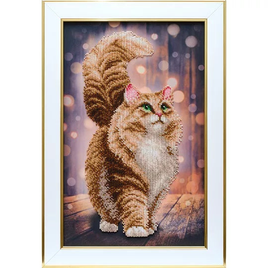 Dreamy Cat Beaded Embroidery Kit ~ VDV