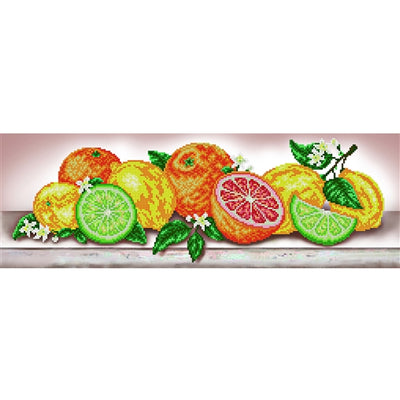 Oranges & Lemons Beaded Embroidery Kit ~ VDV