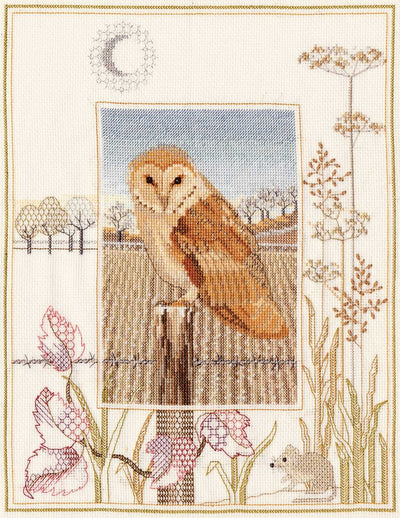 Wildlife - Barn Owl Cross Stitch Kit by Derwentwater Designs