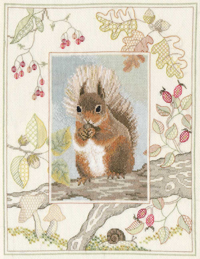 Wildlife - Red Squirrel Cross Stitch Kit by Derwentwater Designs