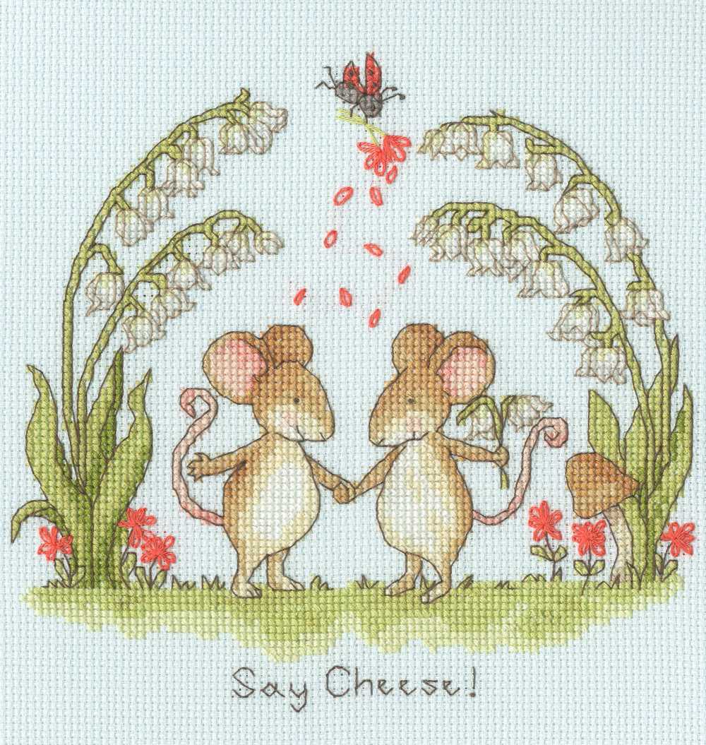 Say Cheese! Cross Stitch Kit ~ Bothy Threads