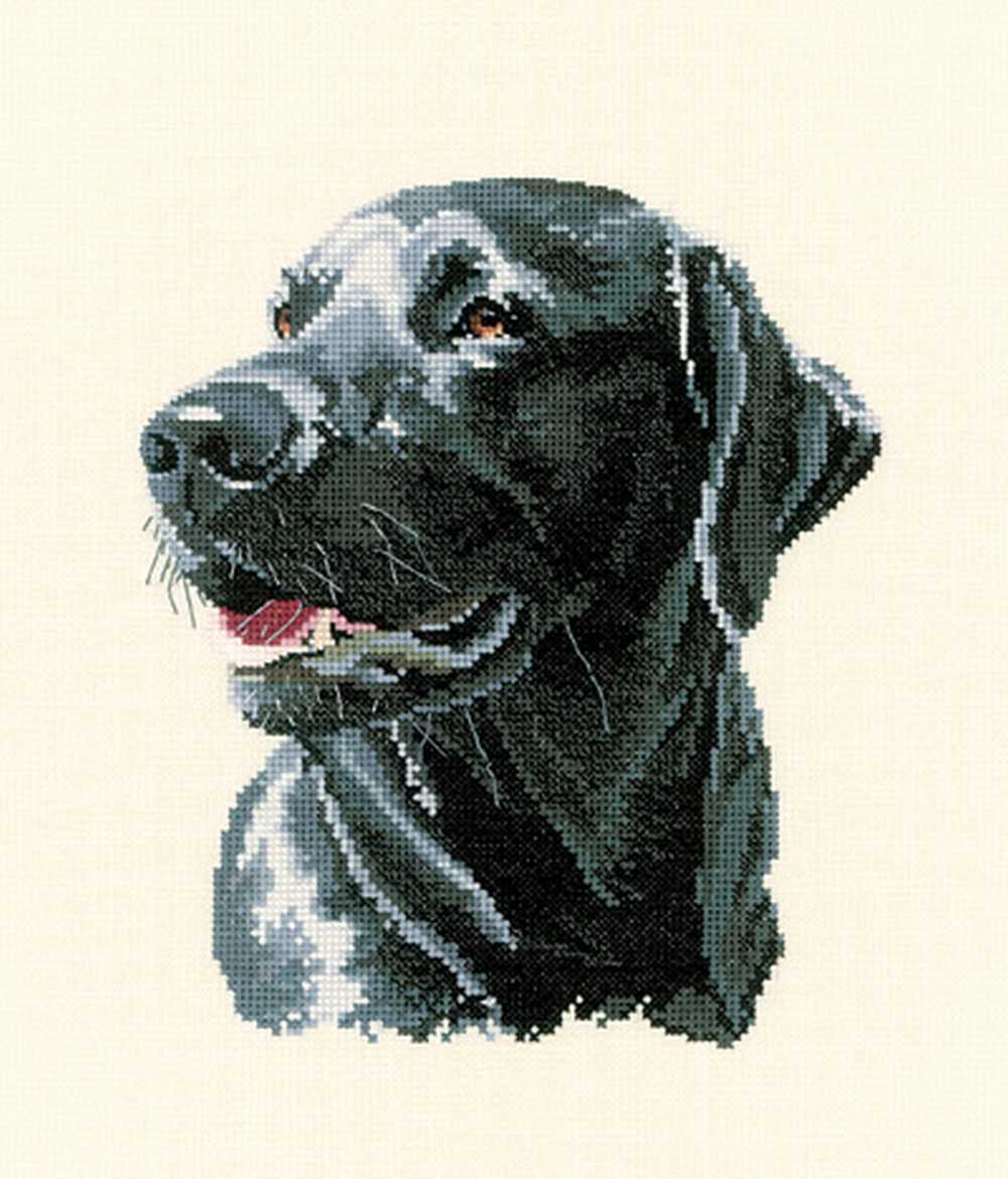 Chester Labrador Cross Stitch CHART Heritage Crafts