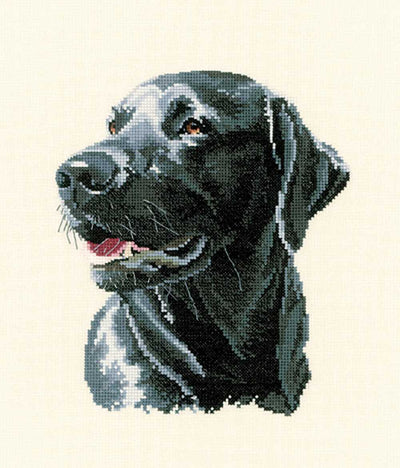 Chester Labrador  Cross Stitch CHART Heritage Crafts