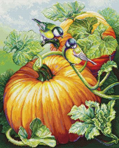 Birdies on Pumpkin ~Cross Stitch Kit ~ Luca S