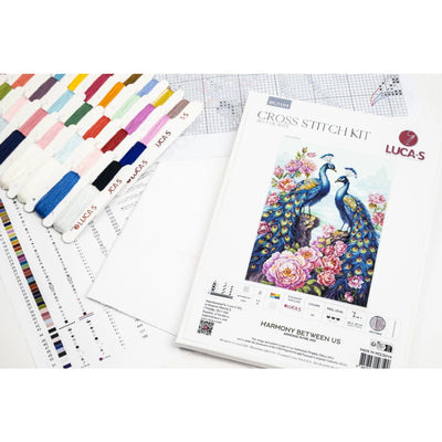 Harmony Betweeen Us Stitch Kit ~ Luca S