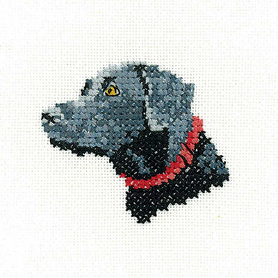 Black Labrador Cross Stitch Kit Heritage Crafts