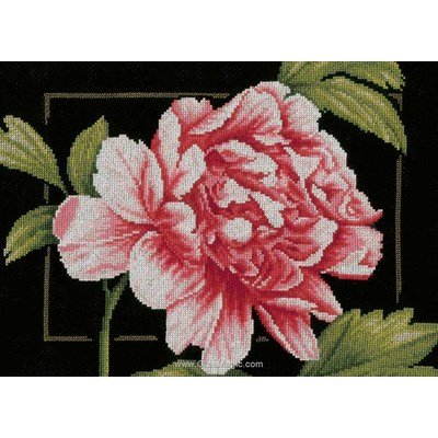 Pink Rose Cross Stitch Kit ~ Lanarte SALE