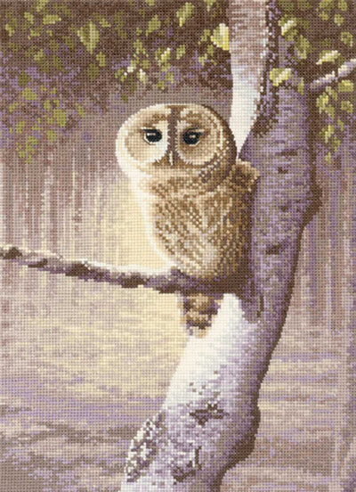 Night Watchman Owl Cross Stitch Kit Heritage Crafts (Evenweave)