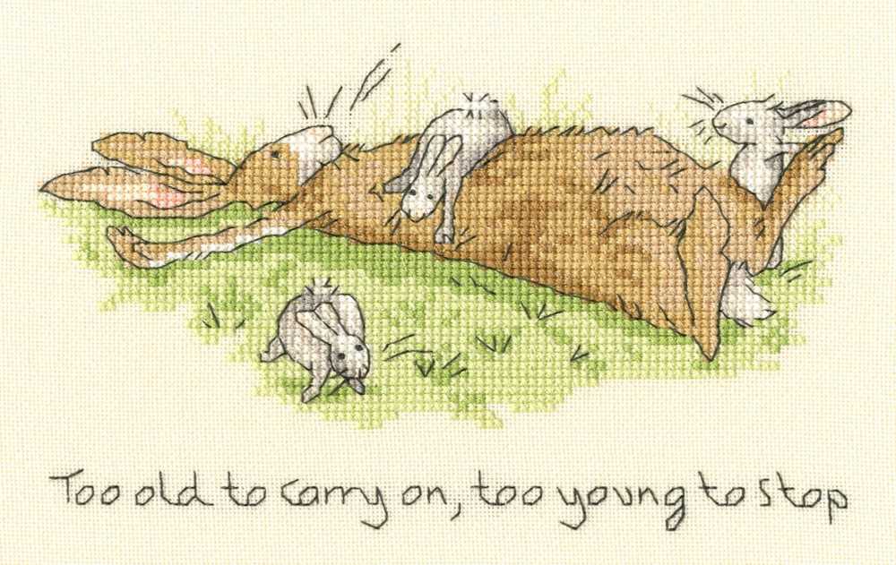 Bothy Threads Too young to Stop Cross Stitch Kit
