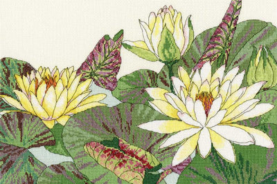 Water Lily Blooms Counted Cross Stitch Kit from Bothy Threads
