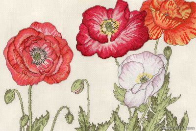 Bothy Threads Poppy Blooms Cross Stitch Kit