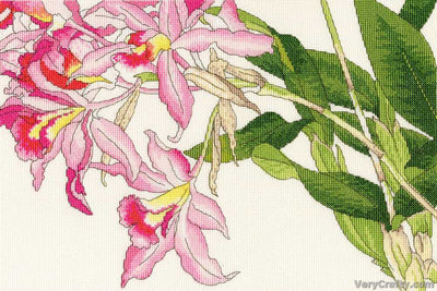 Bothy Threads Orchid Blooms Cross Stitch Kit SALE