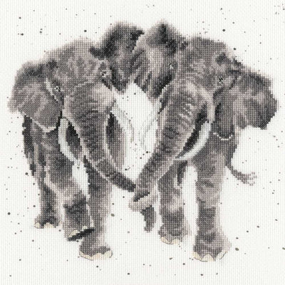 Age is Irrelephant - Elephant Counted Cross Stitch Kit by Hannah Dale of Wrendale Designs