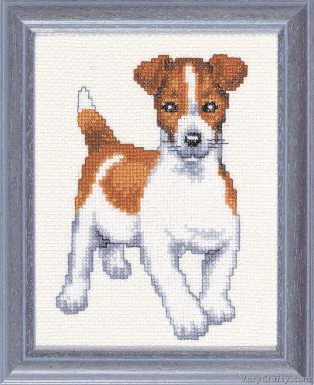 Pako Jack Russell  Cross Stitch Kit