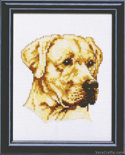 Pako Golden Labrador  Cross Stitch Kit