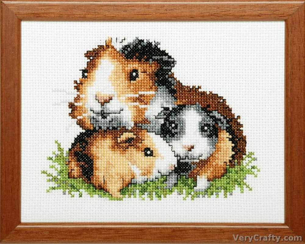 Pako Guinea Pig  Cross Stitch Kit