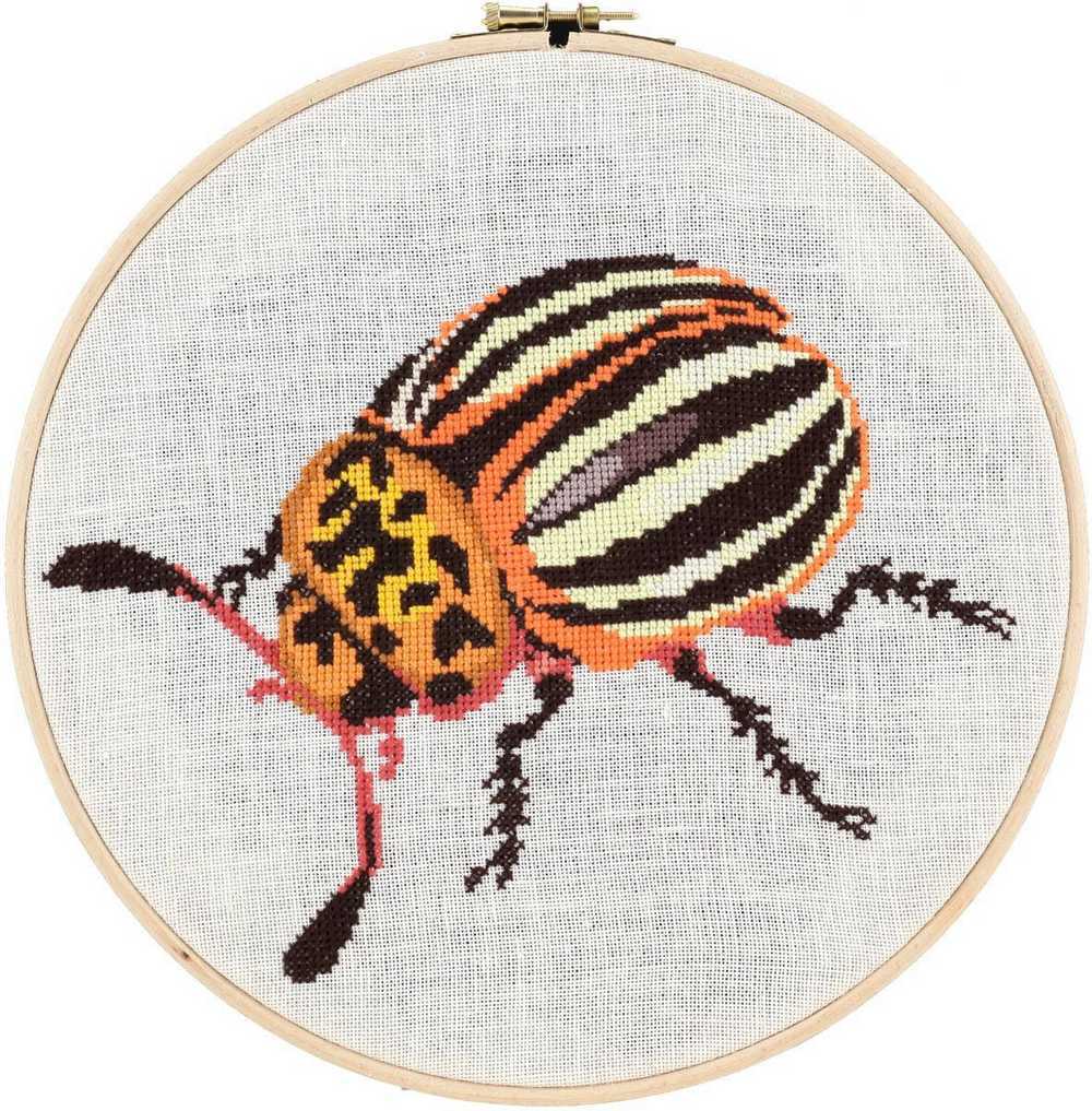 Pako Beetle  Cross Stitch Kit