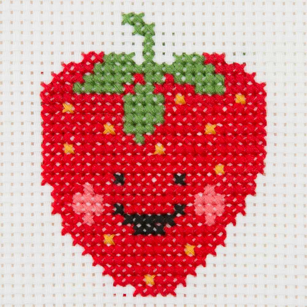 Ist Kit - Strawberry - Anchor Cross Stitch Kit