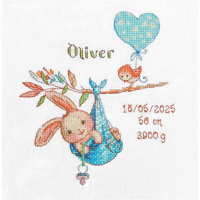 Boy Birth Sampler Cross Stitch Kit - Aine
