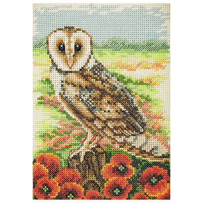 Owl Anchor Cross Stitch Kit