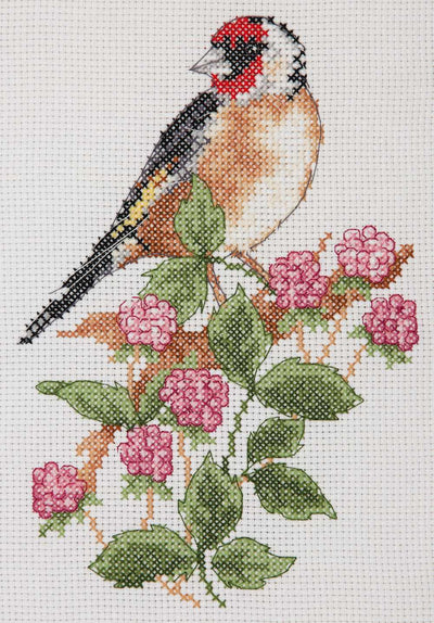Goldfinch and Berries Anchor Cross Stitch Kit