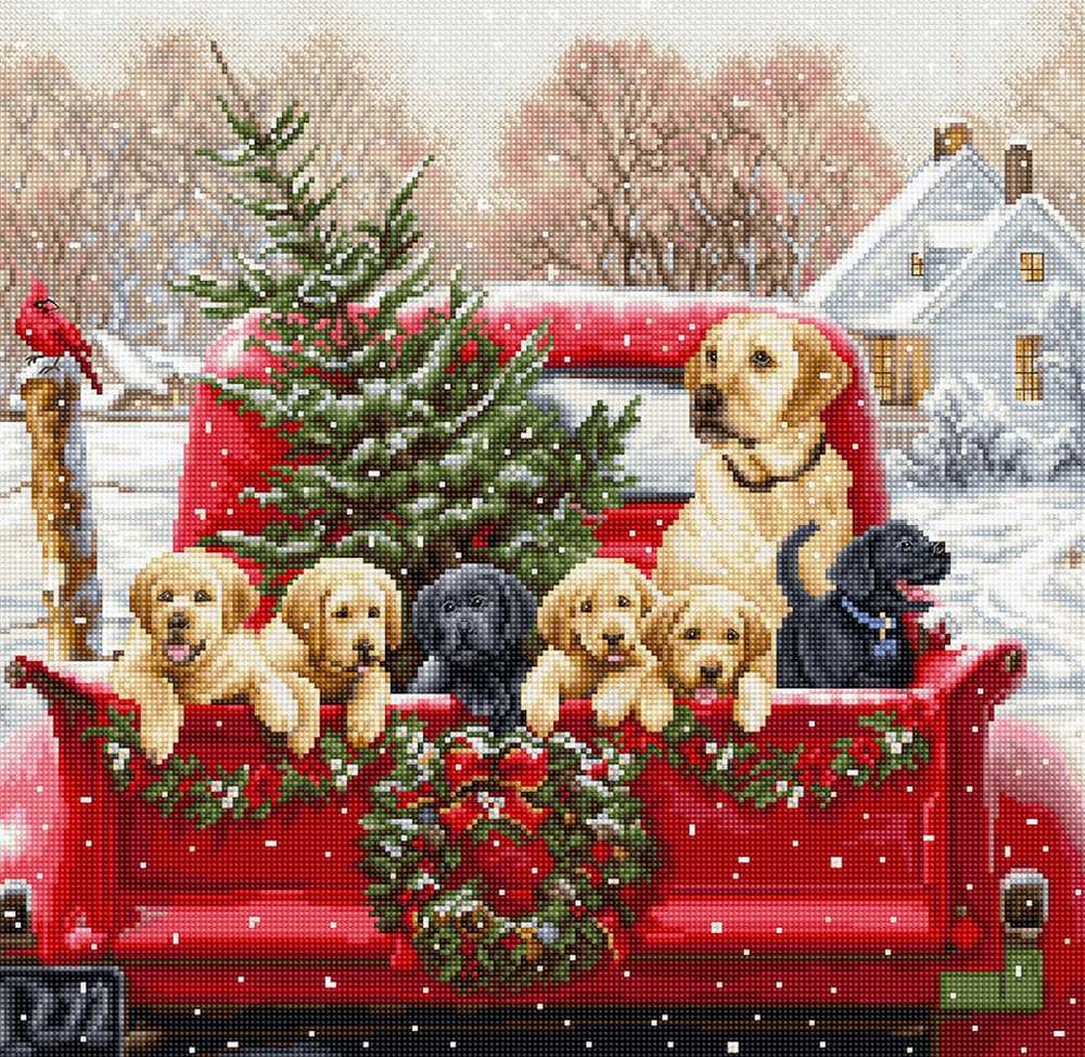 Labs Truck  Cross Stitch Kit ~ Luca S