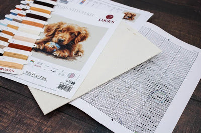Play Time Cross Stitch Kit ~ Luca S