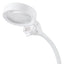 Multi Use Magnifier & Table Lamp - PURElite