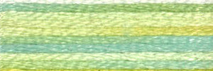 DMC 4060 Colour Variations Stranded Cotton