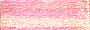 DMC 4170 Colour Variations Stranded Cotton