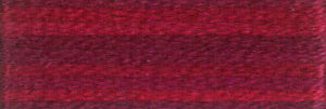 DMC 4210 Colour Variations Stranded Cotton