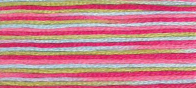 DMC 4502 - Coloris Stranded Cotton