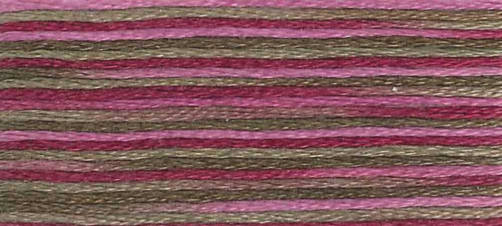 DMC 4504 - Coloris Stranded Cotton