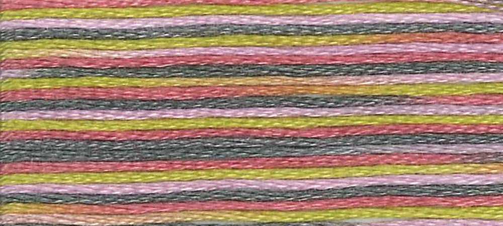 DMC 4509 - Coloris Stranded Cotton