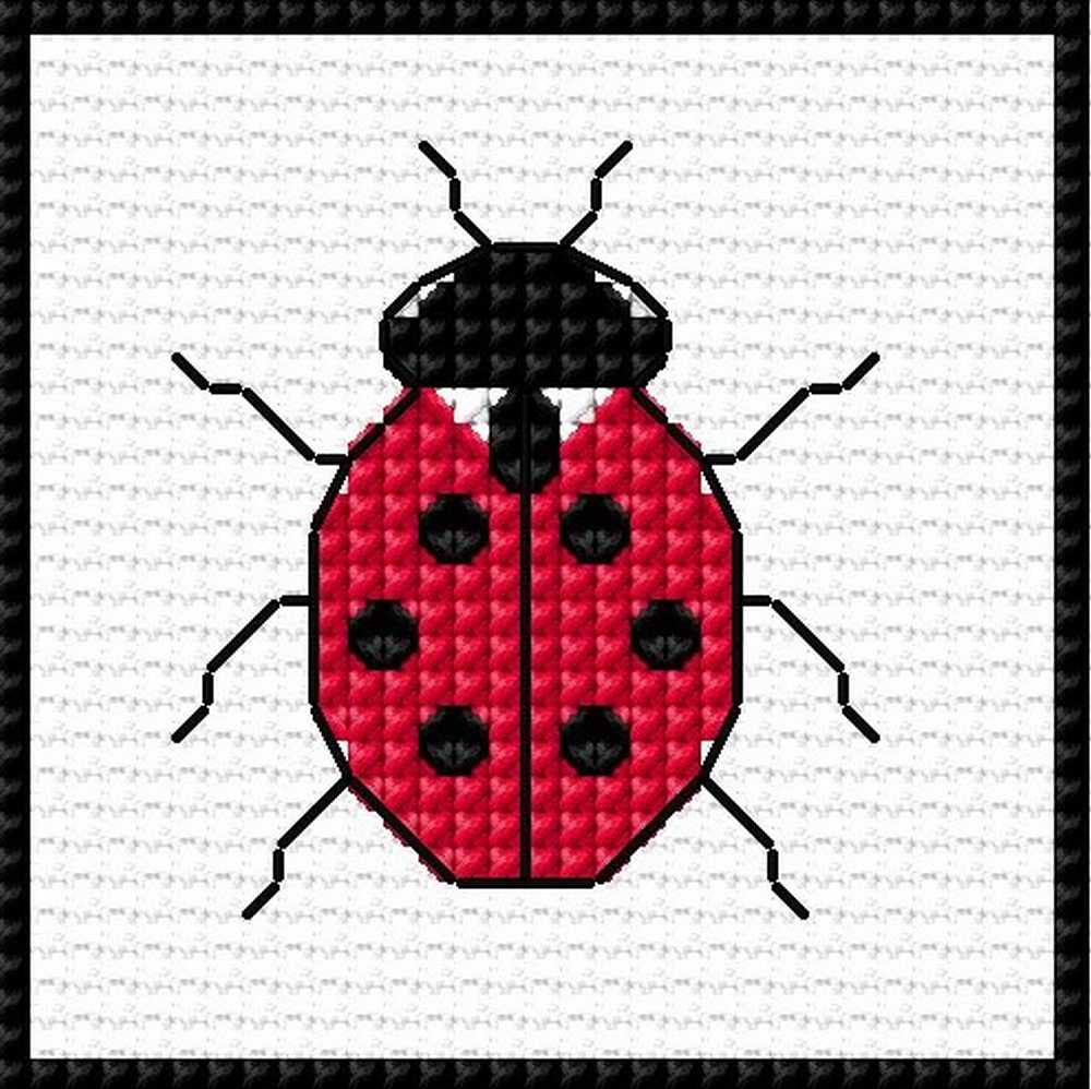 Ladybird Mini Blackwork Kit - Doodlecraft Design