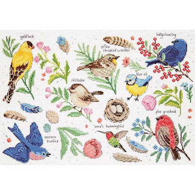 Bird Study Cross Stitch Kit - Design Works