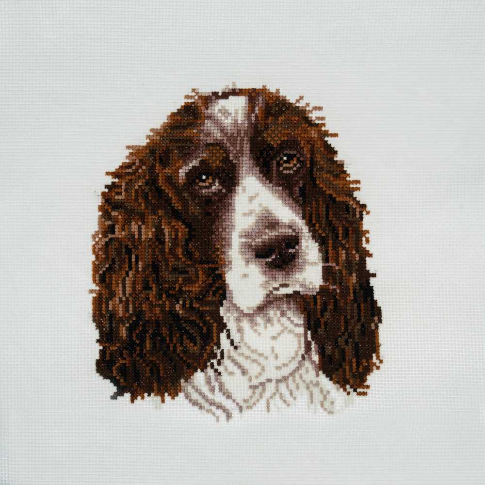 Springer Spaniel Cross Stitch Kit ~ Trimits