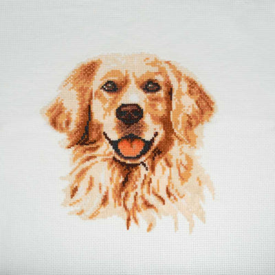 Golden Lab Retriever Cross Stitch Kit ~ Trimits