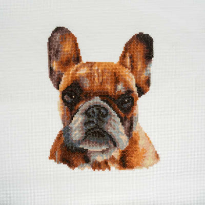 French Bulldog Cross Stitch Kit ~ Trimits