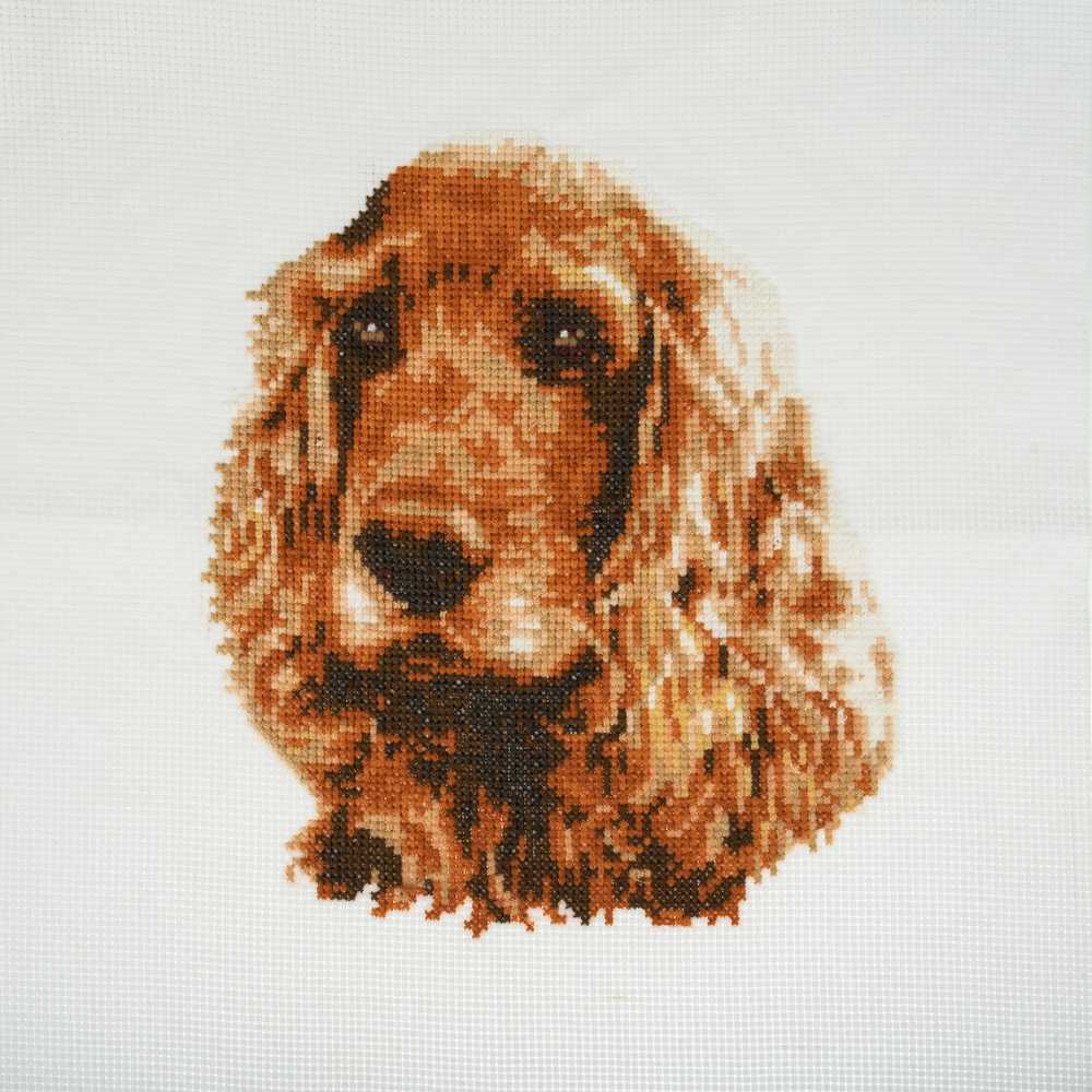 Cocker Spaniel Cross Stitch Kit ~ Trimits