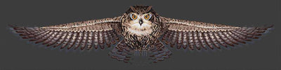 The Owl Cross Stitch Kit ~ HobbyJobby