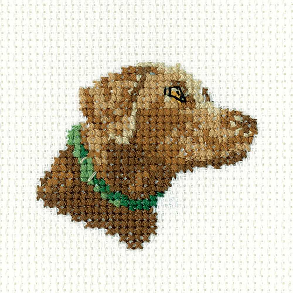 Chocolate Labrador Cross Stitch Kit Heritage Crafts