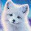 Arctic Foxy Cross Stitch Kit - Letitstitch