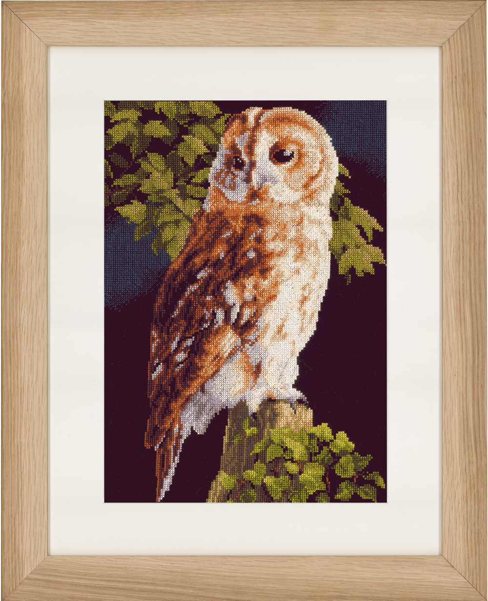 Owl (Aida) Counted Cross Stitch Kit by  Lanarte