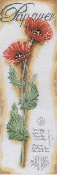 Red Poppies Cross Stitch Kit ~ Lanarte SALE