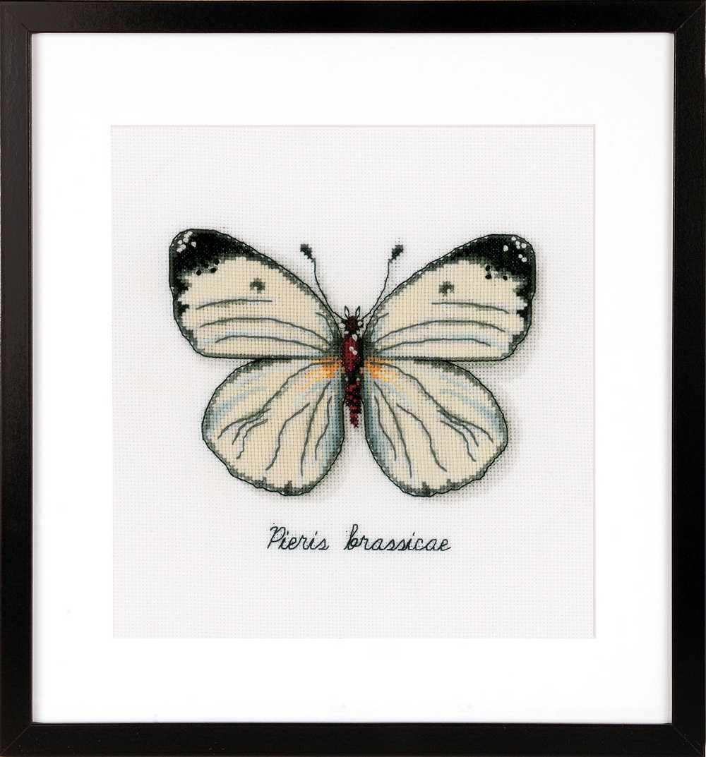 White Butterfly Cross Stitch Kit Vervaco